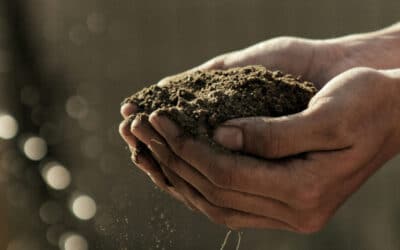Donnez vie à des fermes agroécologiques grâce à votre épargne