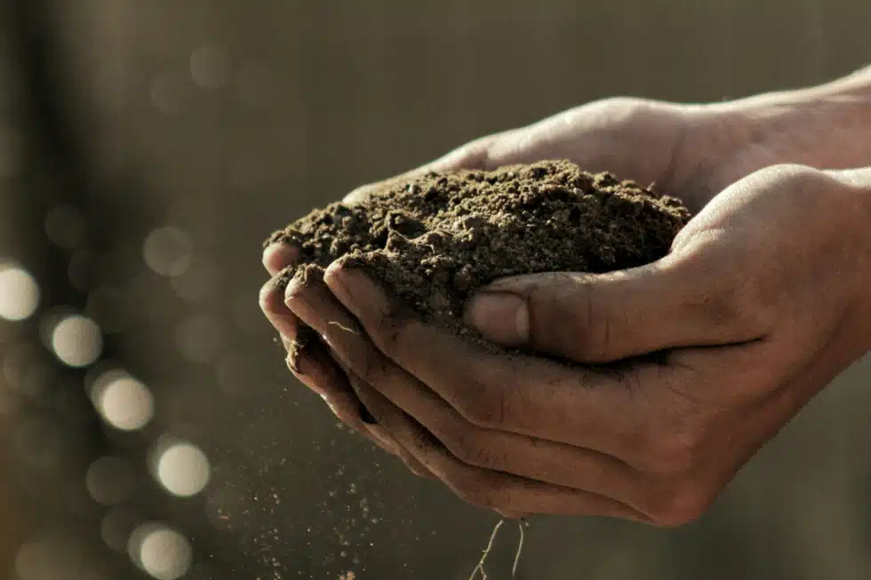 Donnez vie à des fermes agroécologique grâce à votre épargne